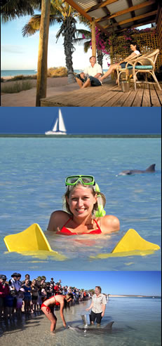 Monkey Mia Dolphin Resort - Accommodation Perth