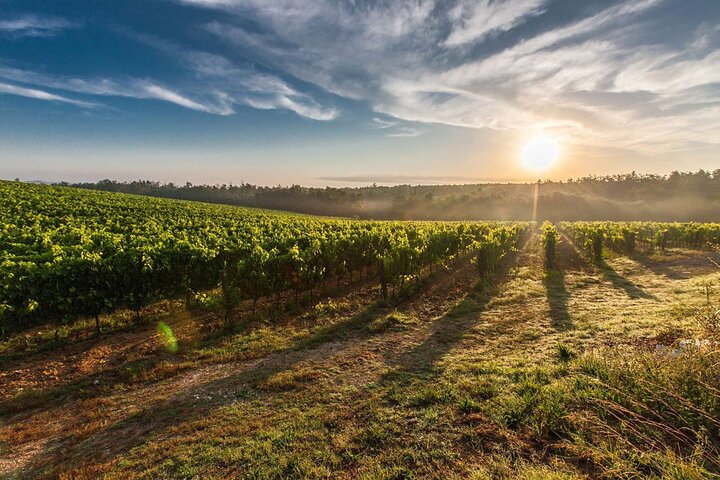 Perth to Margaret River Wine Tour - 2 Day Premium Boutique Wine Tour Experience - Accommodation Perth